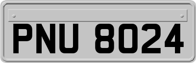 PNU8024