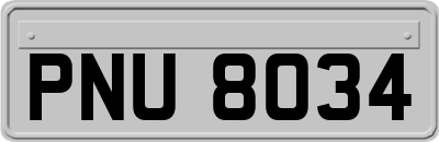 PNU8034