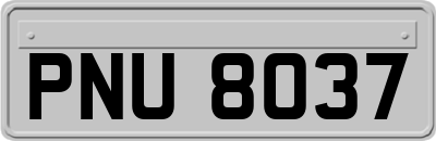 PNU8037