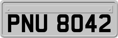 PNU8042