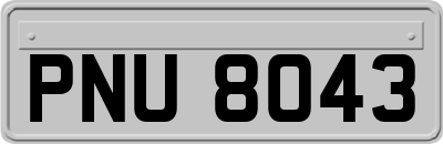 PNU8043