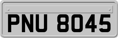 PNU8045