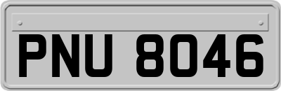 PNU8046