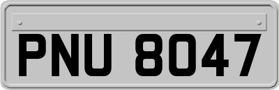 PNU8047