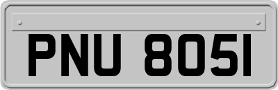 PNU8051