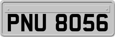 PNU8056