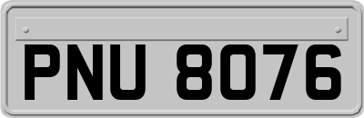 PNU8076