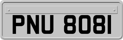 PNU8081
