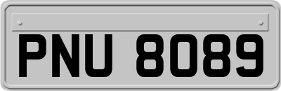 PNU8089