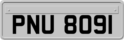 PNU8091