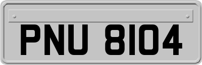 PNU8104