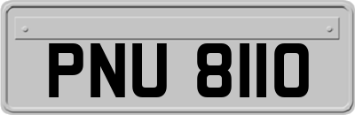 PNU8110