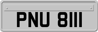 PNU8111