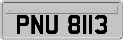 PNU8113