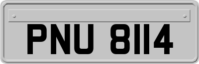 PNU8114