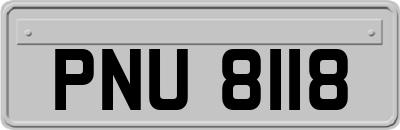 PNU8118
