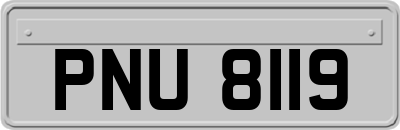PNU8119