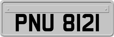 PNU8121
