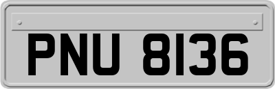 PNU8136