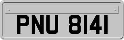 PNU8141