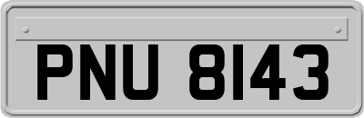 PNU8143