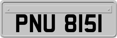 PNU8151