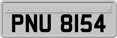 PNU8154
