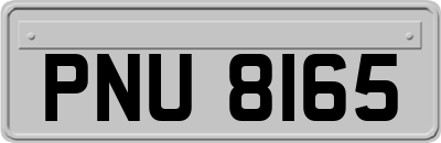PNU8165