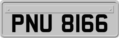 PNU8166