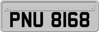 PNU8168