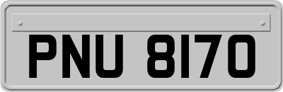 PNU8170