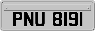 PNU8191