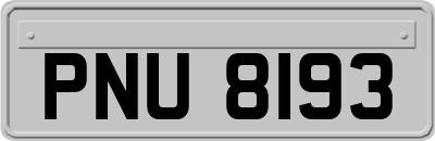 PNU8193