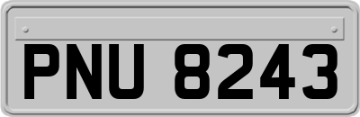 PNU8243