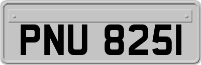 PNU8251