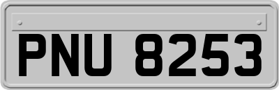 PNU8253