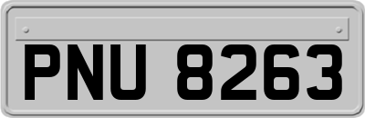 PNU8263