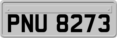 PNU8273