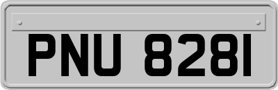PNU8281