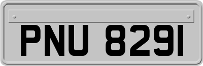 PNU8291