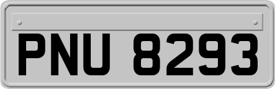 PNU8293