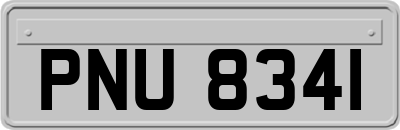 PNU8341