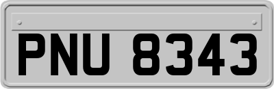 PNU8343