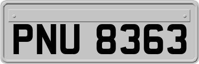 PNU8363