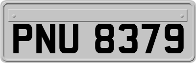 PNU8379