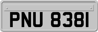 PNU8381