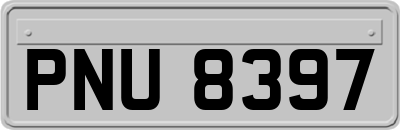PNU8397
