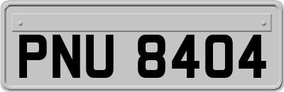 PNU8404