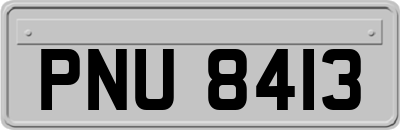 PNU8413