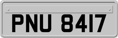 PNU8417